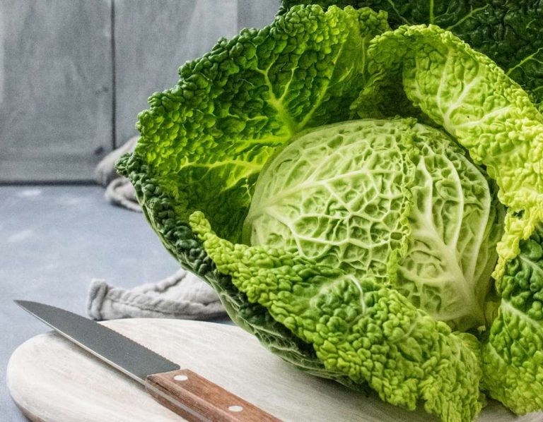 How To Freeze Cabbage? The Easy Way Food Readme