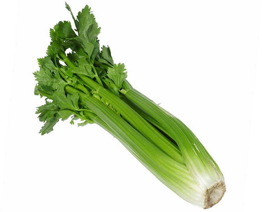 Can You Freeze Celery Leaves