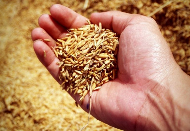 How To Polish Rice Food Readme