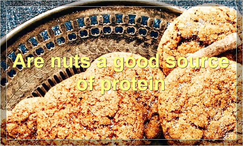 Are nuts a good source of protein