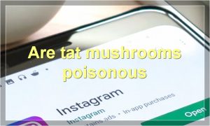 Are tat mushrooms poisonous