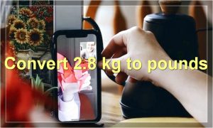 Convert 2.8 kg to pounds