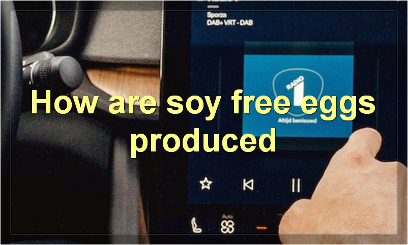 How are soy free eggs produced
