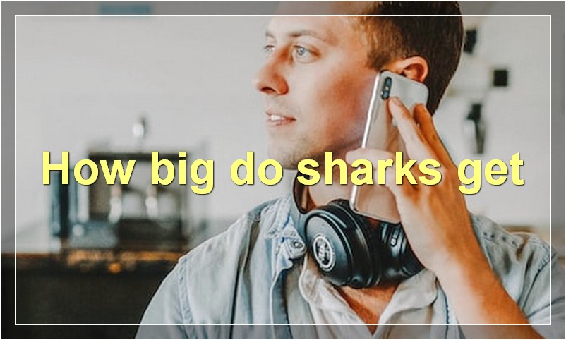 How big do sharks get