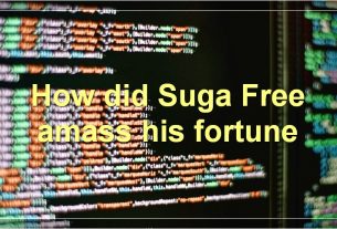 How did Suga Free amass his fortune