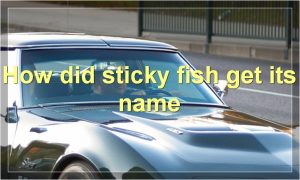 How did sticky fish get its name