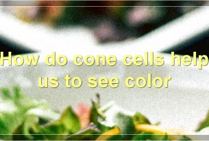 How do cone cells help us to see color