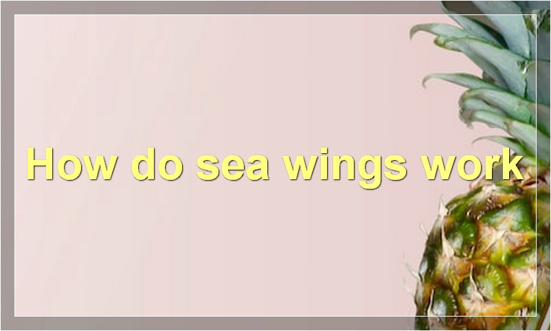 How do sea wings work