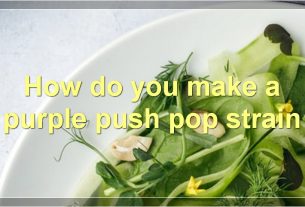 How do you make a purple push pop strain