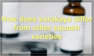 How does sorakaya differ from other squash varieties