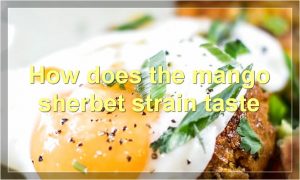 How does the mango sherbet strain taste