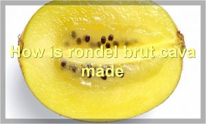 How is rondel brut cava made