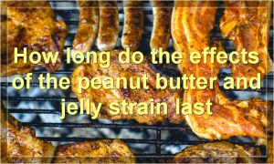 How long do the effects of the peanut butter and jelly strain last