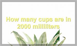 How many cups are in 2000 milliliters