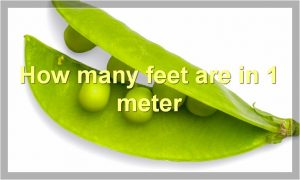 How many feet are in 1 meter