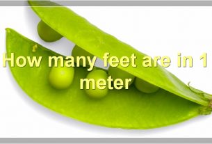 How many feet are in 1 meter