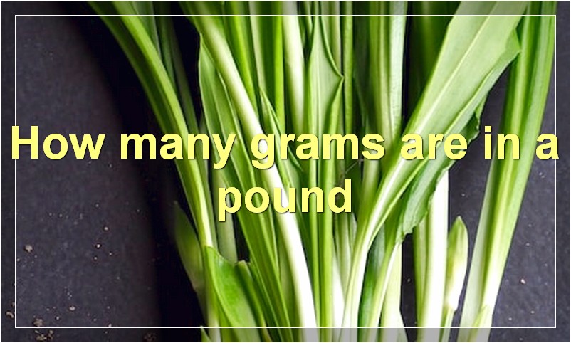 How many grams are in a pound