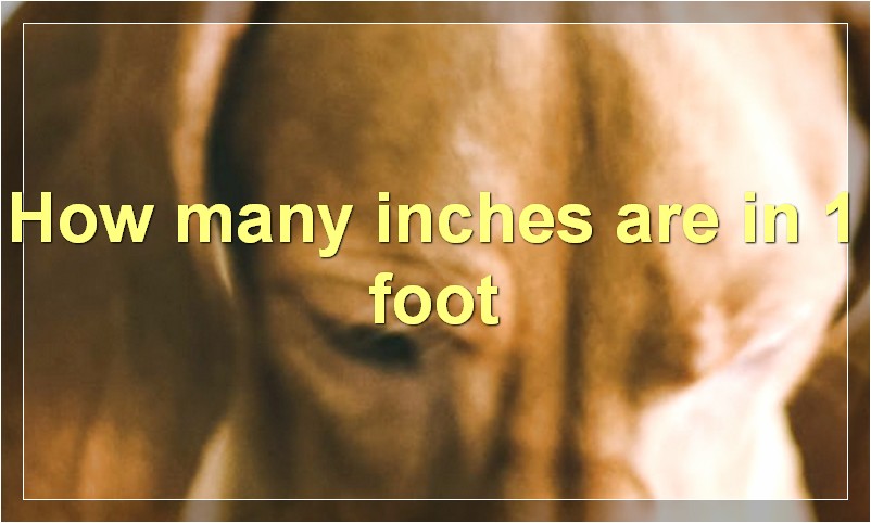 How many inches are in 1 foot