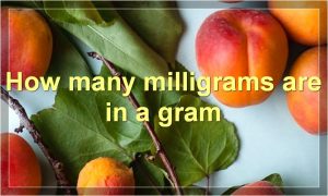 How many milligrams are in a gram