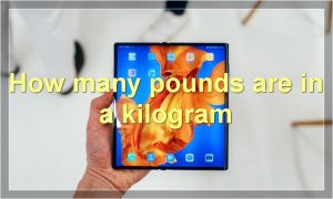 How many pounds are in a kilogram