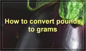 How to convert pounds to grams