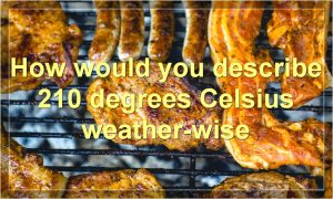 How would you describe 210 degrees Celsius weather-wise