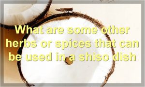 What are some other herbs or spices that can be used in a shiso dish