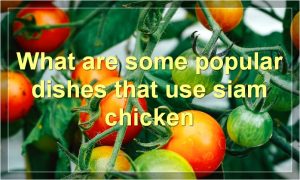 What are some popular dishes that use siam chicken