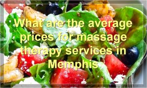 What are the average prices for massage therapy services in Memphis