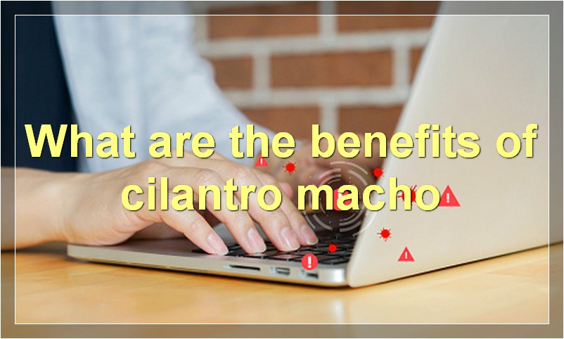 What are the benefits of cilantro macho