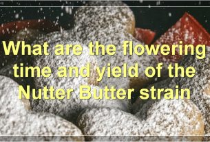 What are the flowering time and yield of the Nutter Butter strain