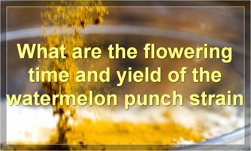 What are the flowering time and yield of the watermelon punch strain