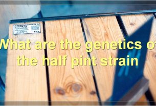 What are the genetics of the half pint strain