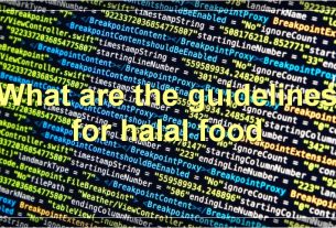 What are the guidelines for halal food