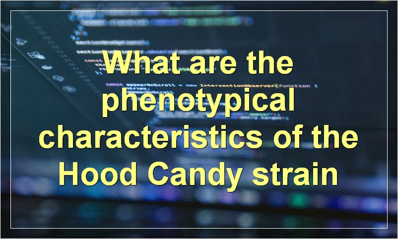 What are the phenotypical characteristics of the Hood Candy strain