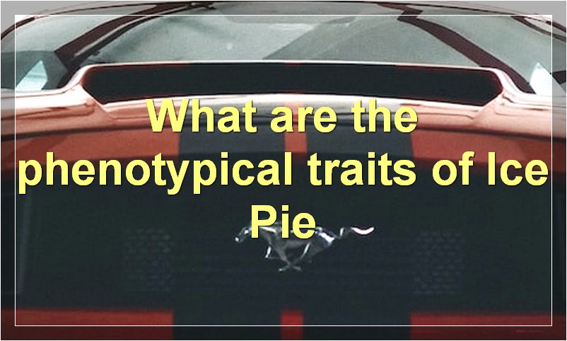 What are the phenotypical traits of Ice Pie