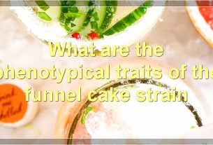 What are the phenotypical traits of the funnel cake strain