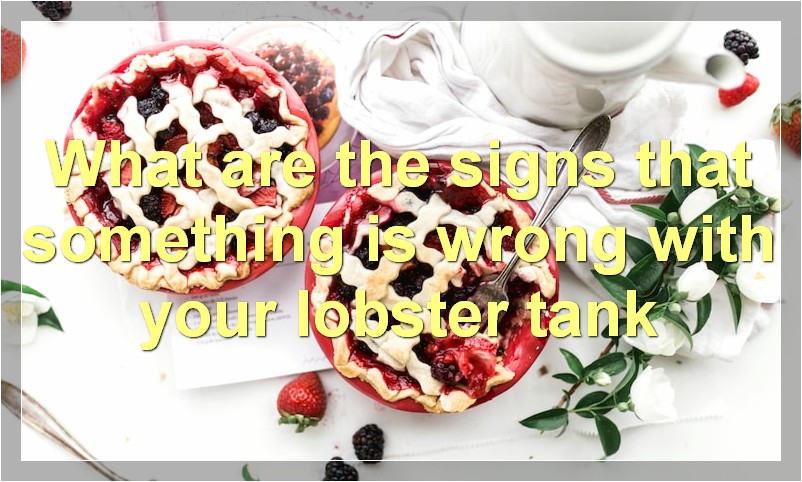 What are the signs that something is wrong with your lobster tank