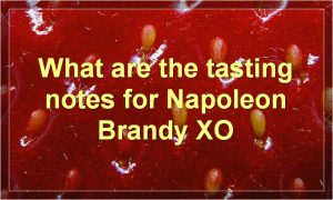 What are the tasting notes for Napoleon Brandy XO