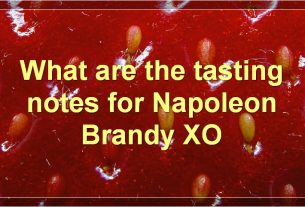 What are the tasting notes for Napoleon Brandy XO