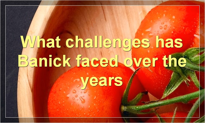 What challenges has Banick faced over the years