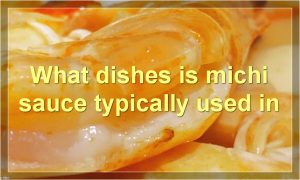 What dishes is michi sauce typically used in