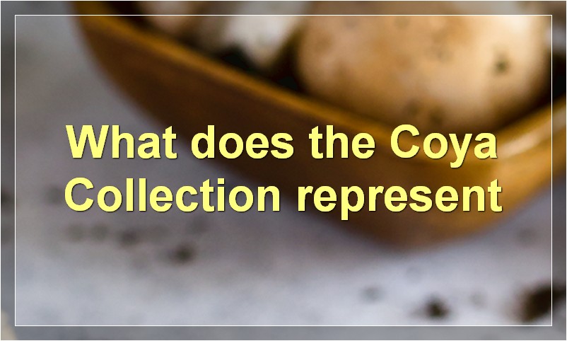 What does the Coya Collection represent