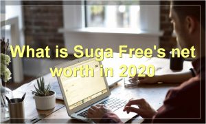 What is Suga Free's net worth in 2020