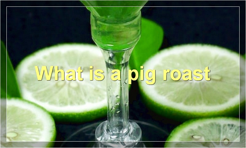 What is a pig roast