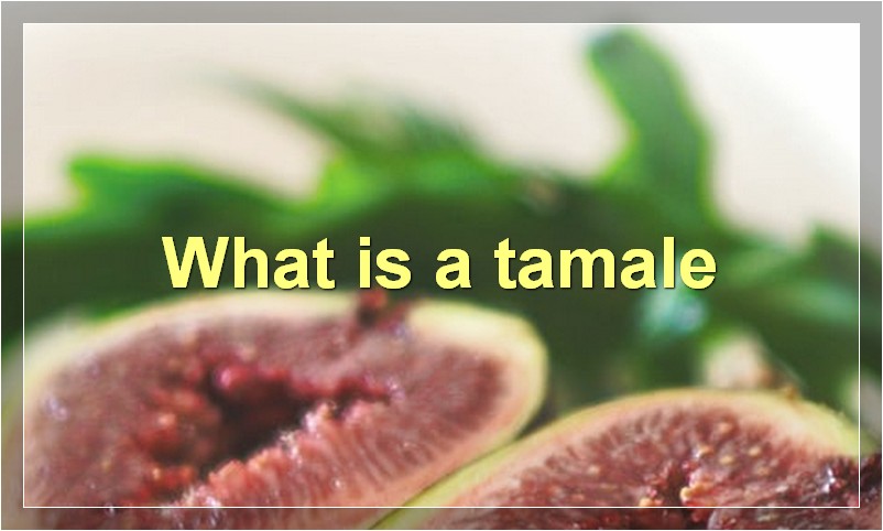 What is a tamale