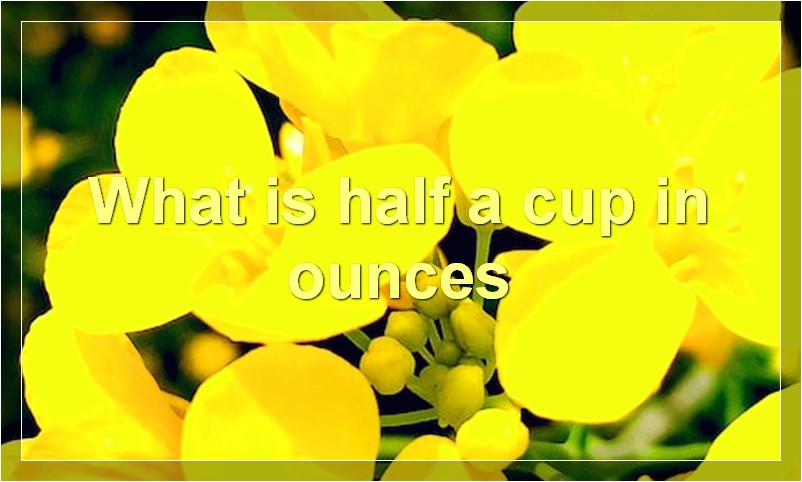 What is half a cup in ounces
