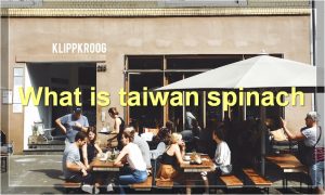 What is taiwan spinach