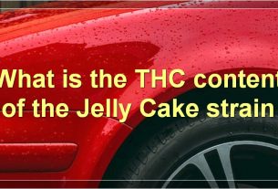 What is the THC content of the Jelly Cake strain