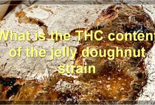 What is the THC content of the jelly doughnut strain